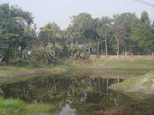 estanque en Majuli