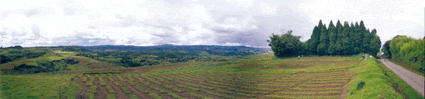 Panorámica de unos campos cerca del pueblo de Laitdiengsai