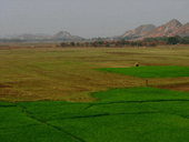 paisaje rural de orissa