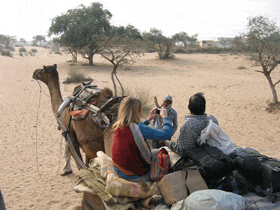 safari con camellos desde bikaner