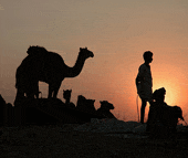 puesta de sol en el desierto de jaipur