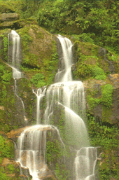 Una de las numerosas cascadas de Sikkim